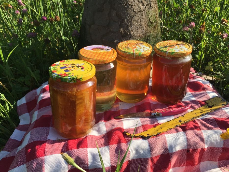 Родопски пчелен мед