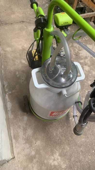 Anal video mobil versiyasi