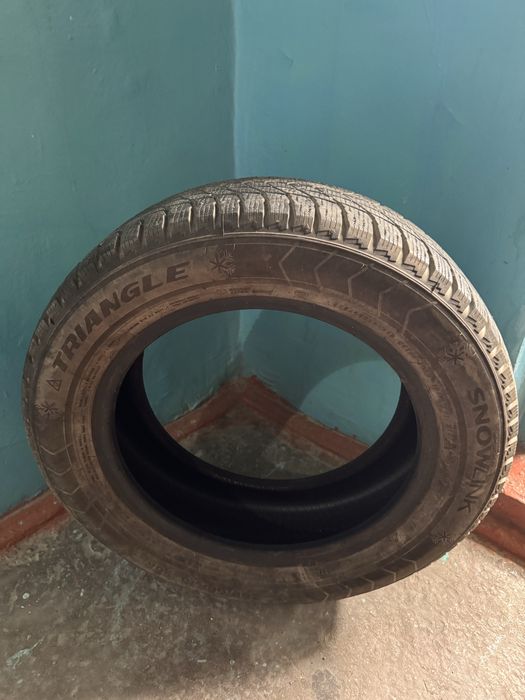 Зимние Шины Triangle