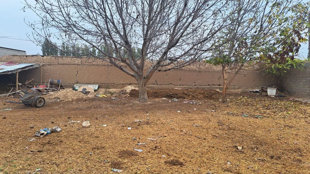 Srochna sotiladi juda tezlikda pul zaril! Nzarbekda Turkistnda 8 sotik