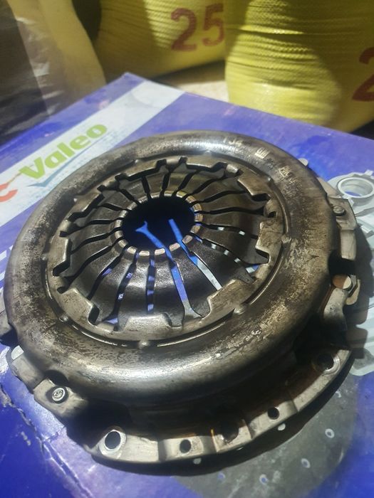 Cobalt pereda karzina pashti yangi