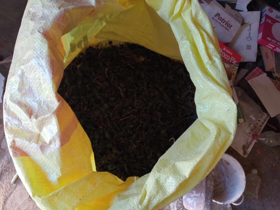 Продается.   Майис.   Моллар.   Учун.  Яхши