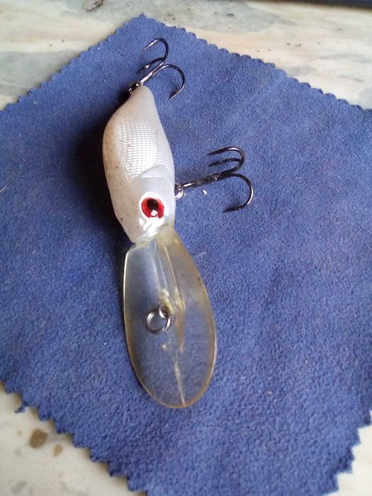 Примамка за хищни риби