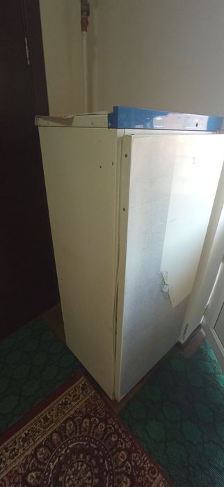 Xoladilnik oq rang