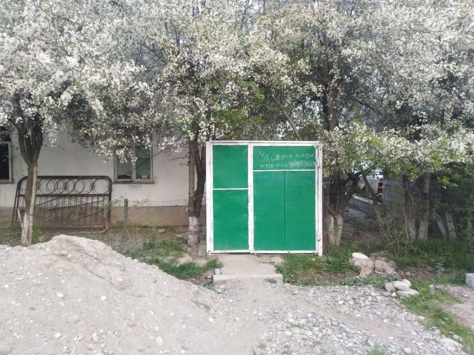 Axil qoʻshnilar va tabiat