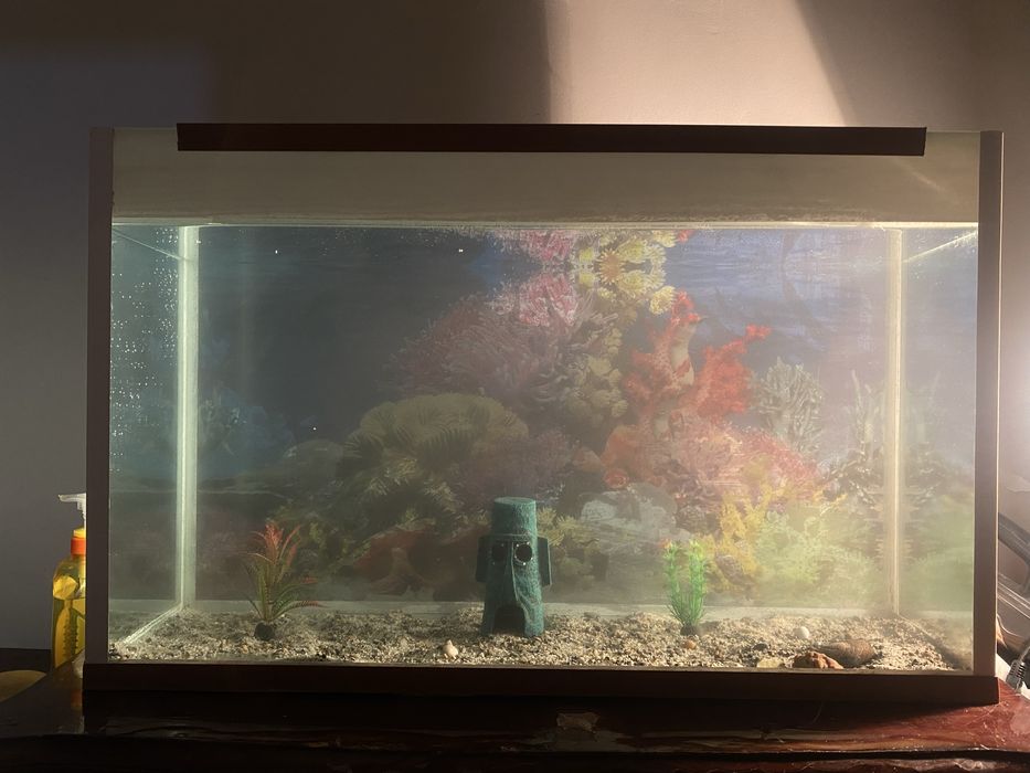 Аквариум с рыбками