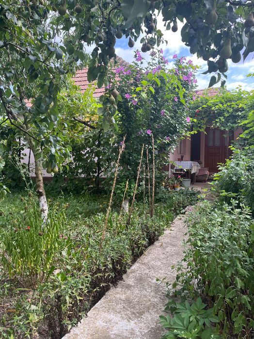Vând casă localitatea Sucutard jud Cluj