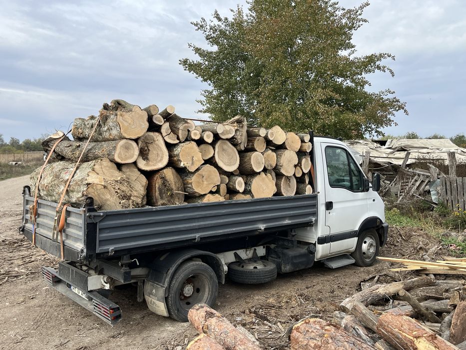 Lemne de foc esență tare ( fag, cer, gorun, carpen)