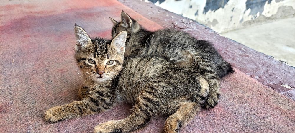 Tatyana Cherkasova porno foto