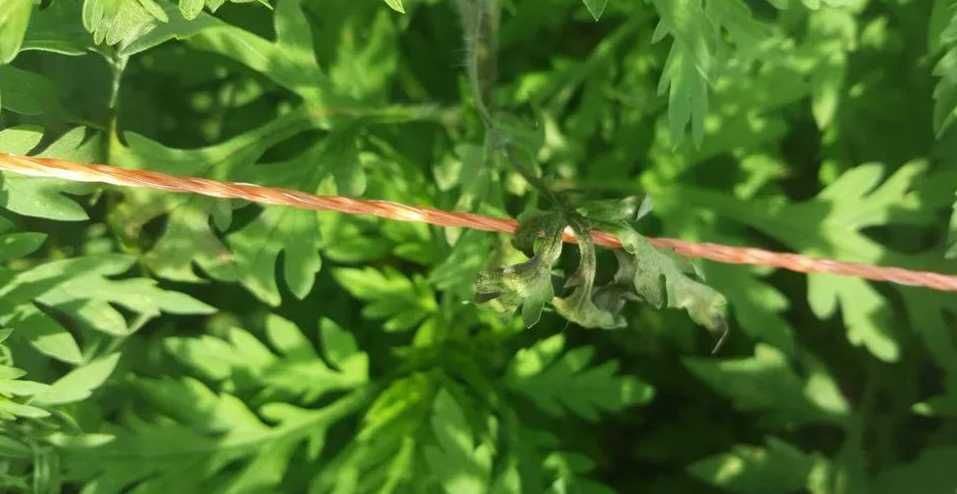 Aparat pentru gard electric 8J  15.000V Voltmetru digital