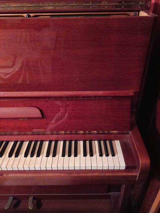 Пиано Julius Bluthner