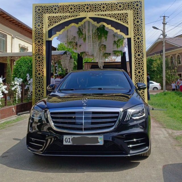 Трансферпо горам и по городам Мерседес 222