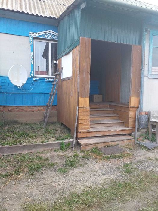 Дом в горде Мамлютка