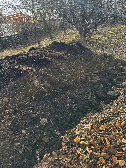 Mranita / Balegar de vaca maturat (îngrășământ bio pentru grădină)