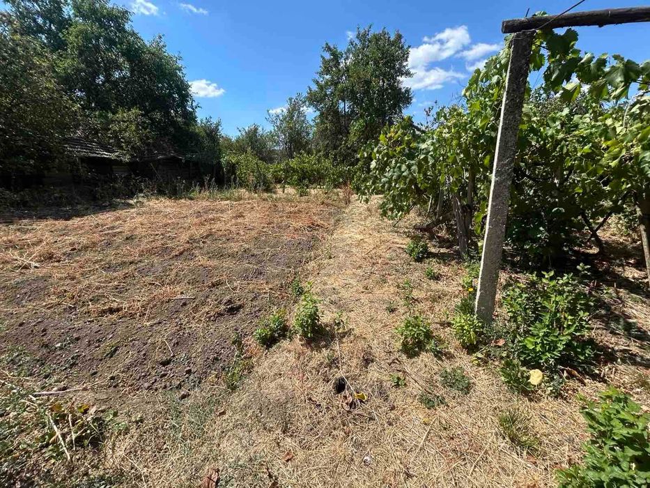 Продава се Къща в с. Славяново, Област Търговище - 252 кв.м за 286 €/кв.м - Снимка #13