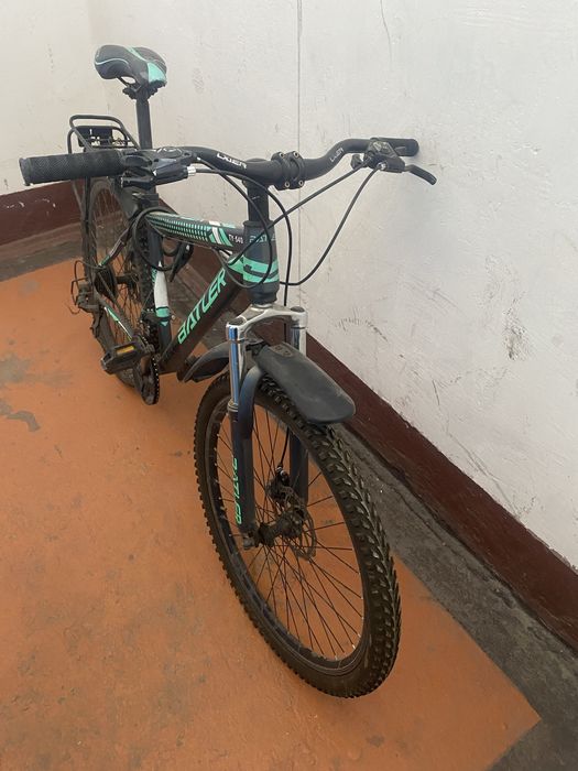 Велик хороший горный