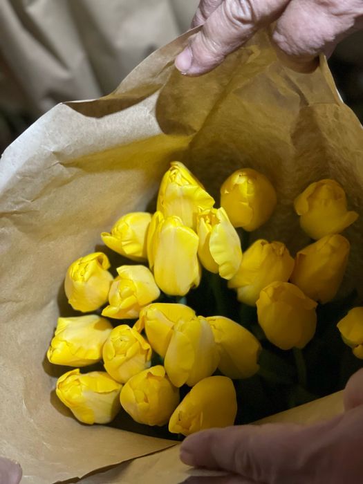 Тюльпаны оптом !!