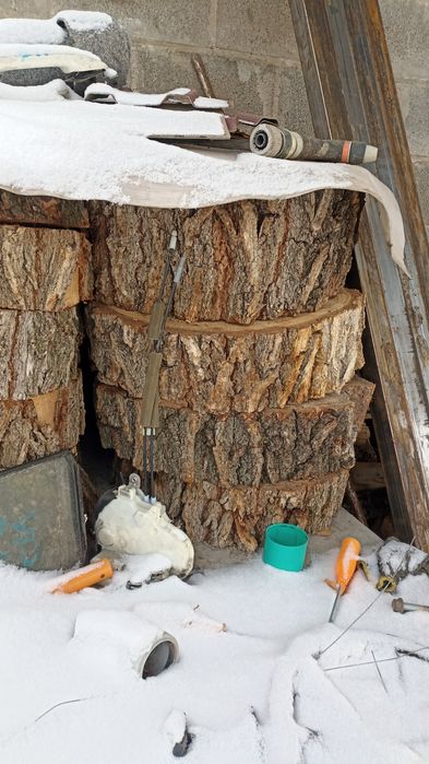 Пни . Срезы от пней для декора или доски для разделки