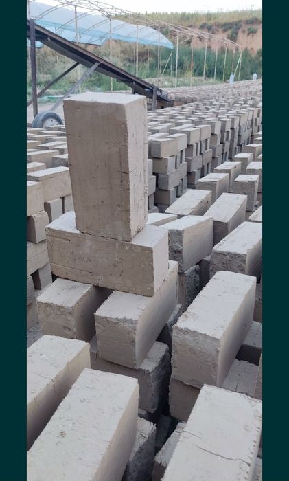 Pishgan va xom gisht bor