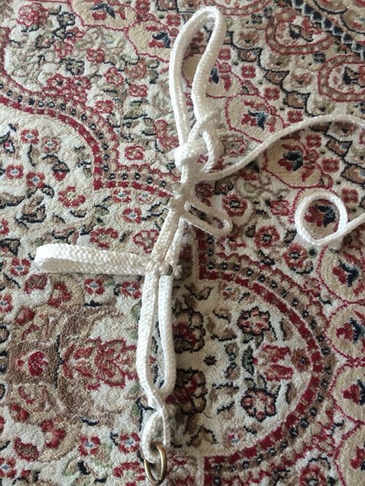 Ноқта Жүген Тұсамыс