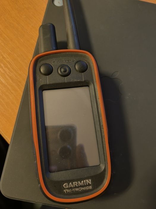 Garmina Alpha 100 dog