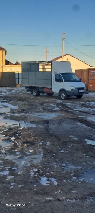 Газель бар мал таситын