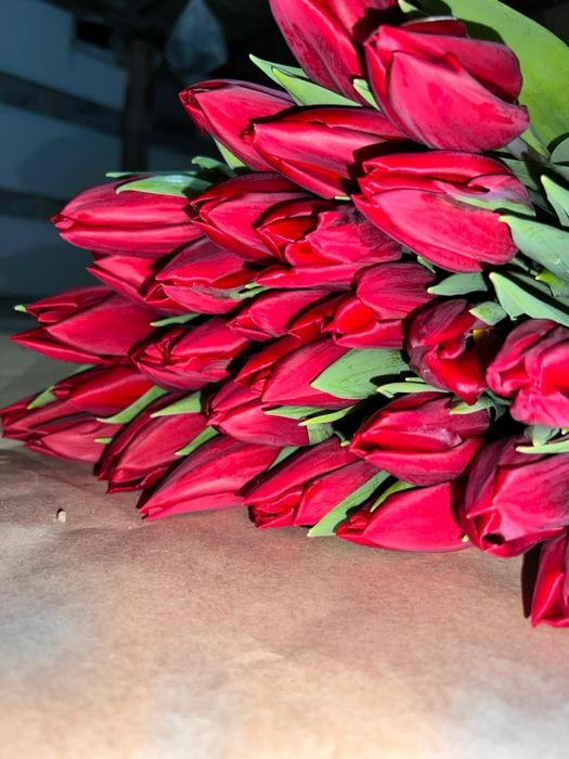 Тюльпаны оптом и в розницу