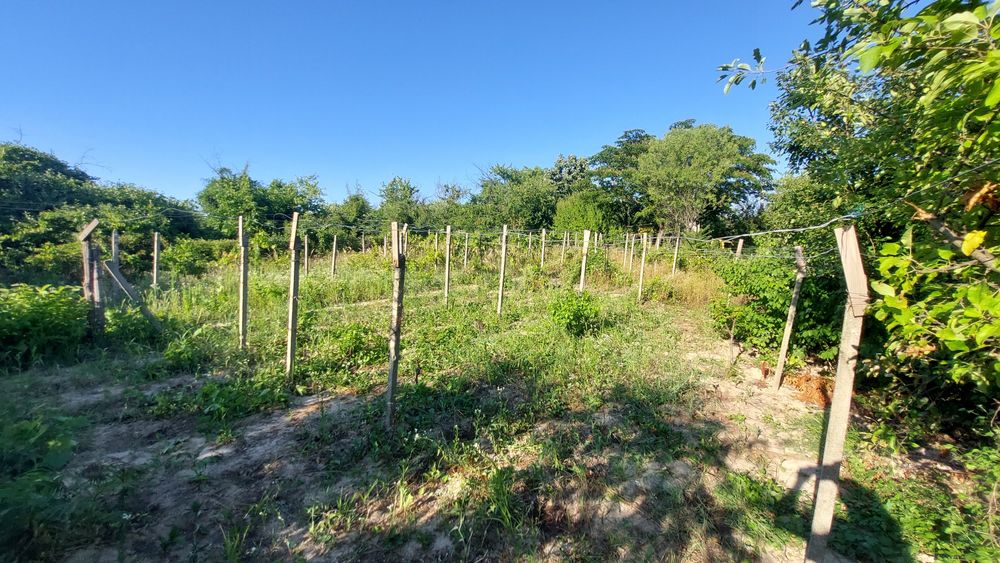 Продава се Парцел в Русе, Долапите - 875 кв.м за 5 €/кв.м - Снимка #4