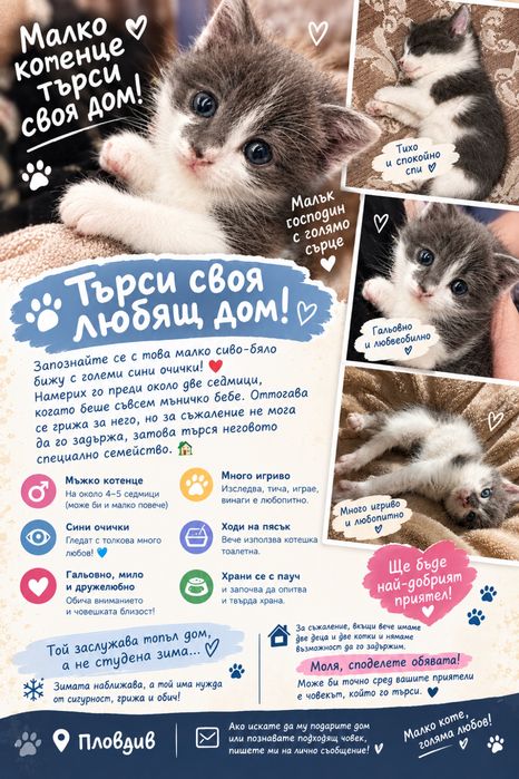 Търси се дом!СПЕШНО