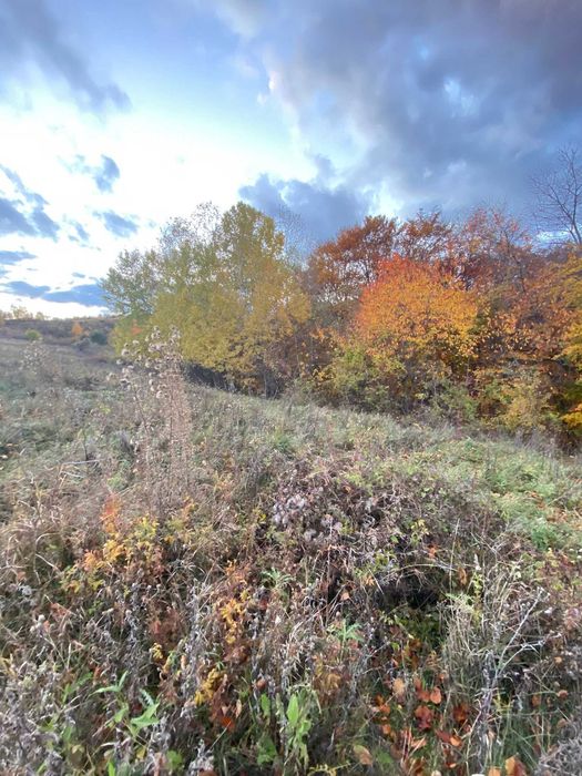 Teren Râmeț , Cotorasti