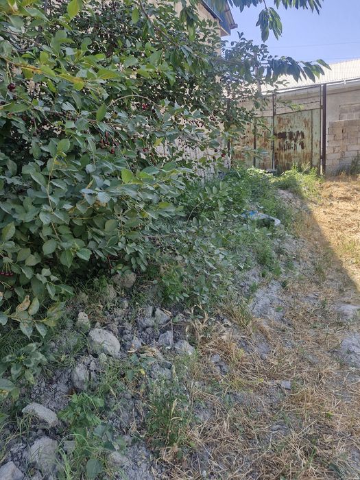 Yer uchastkasi sotiladi