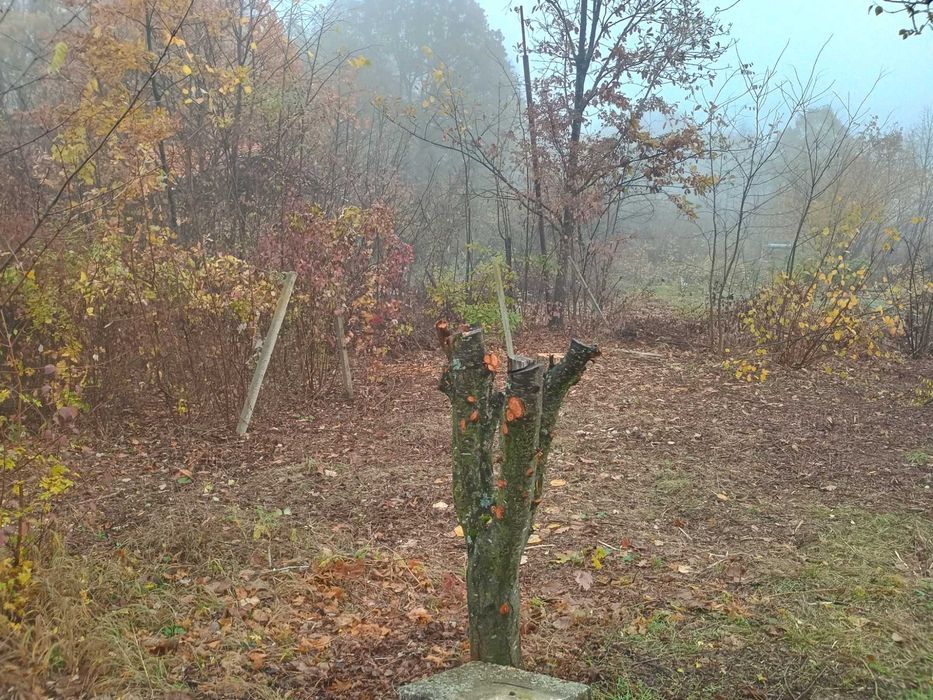 Парцел в Лишяшка могила
