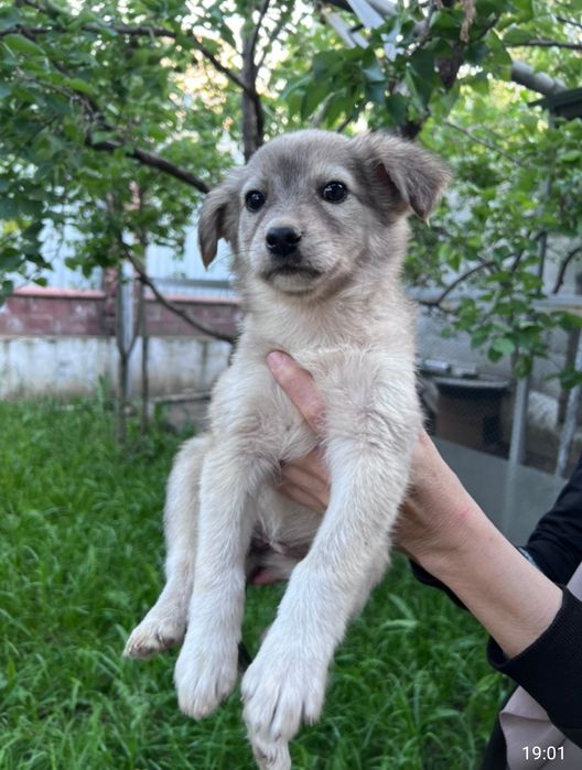 Маленькие ангелочки