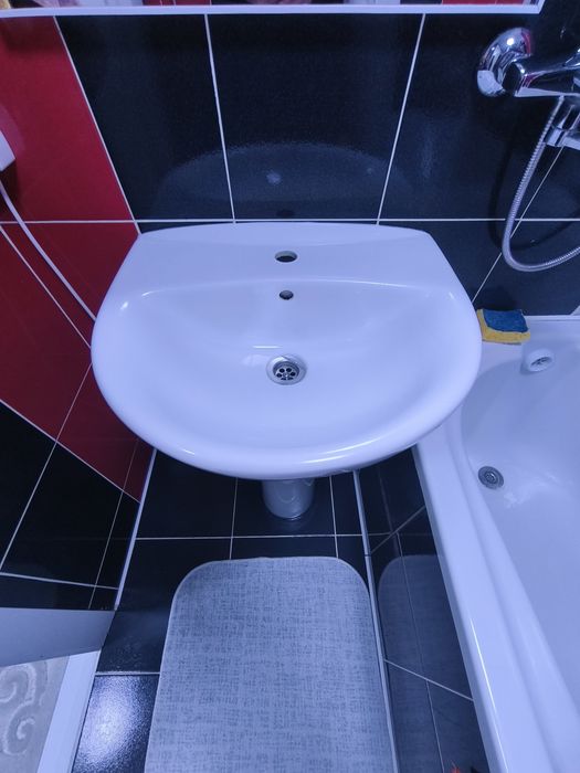 Раковина тюльпан