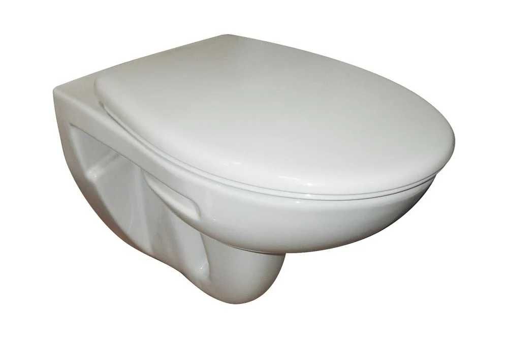 Тоалетна чиния  Roca за структура