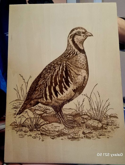 Ръчно изработени картини с пириграф