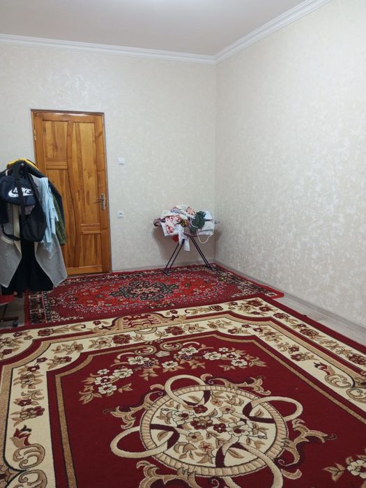 Arenda uylar qizlarga sheriklikka