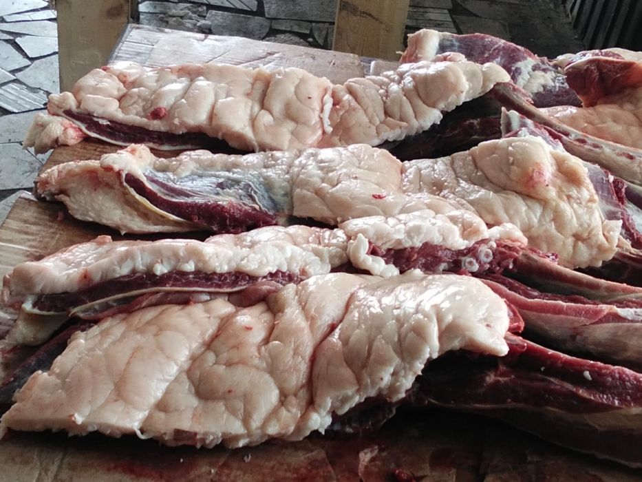 Продается мясо конины !