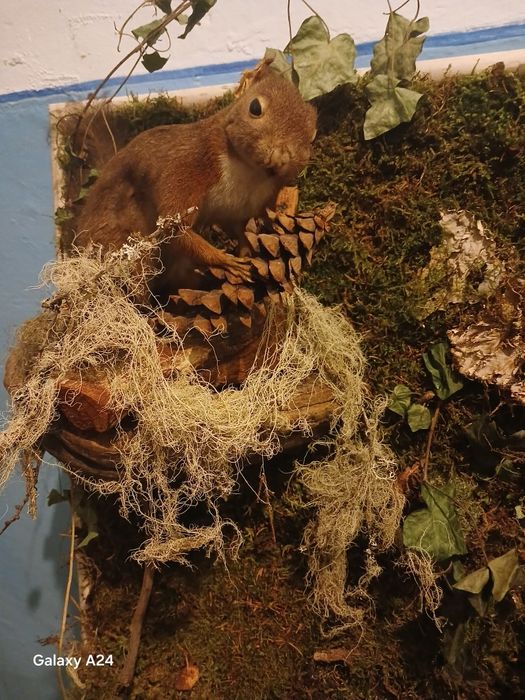 Tablouri de vânzare