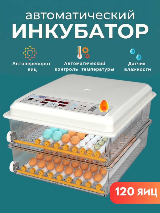 Автоматический инкубатор яиц с автоповоротом