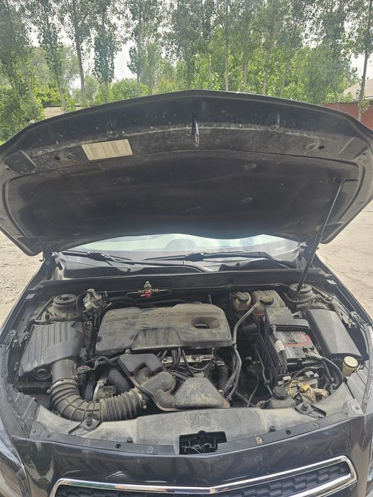 Malibu1 2.4 mator