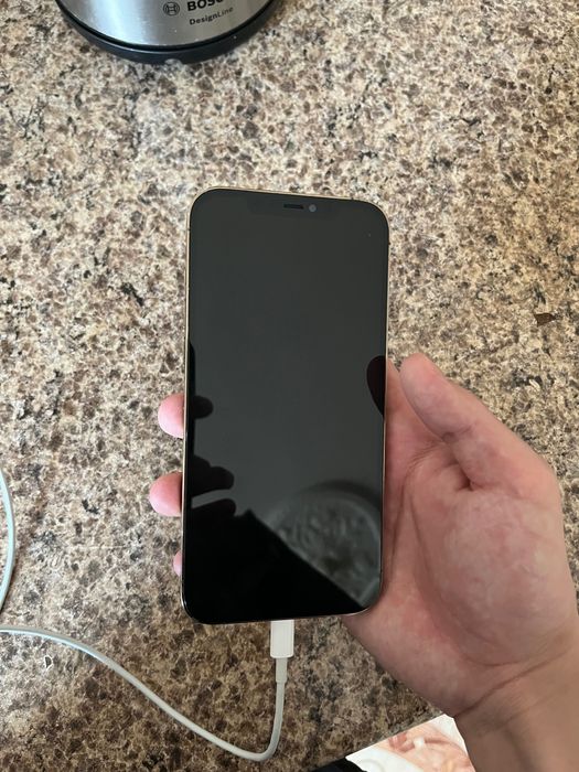 İPhone 12 Pro Max 256GB