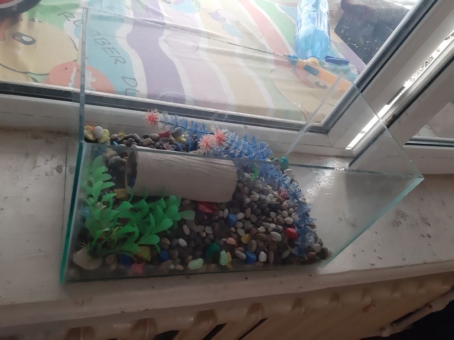 Sifatli akvaryum sotiladi 20x20