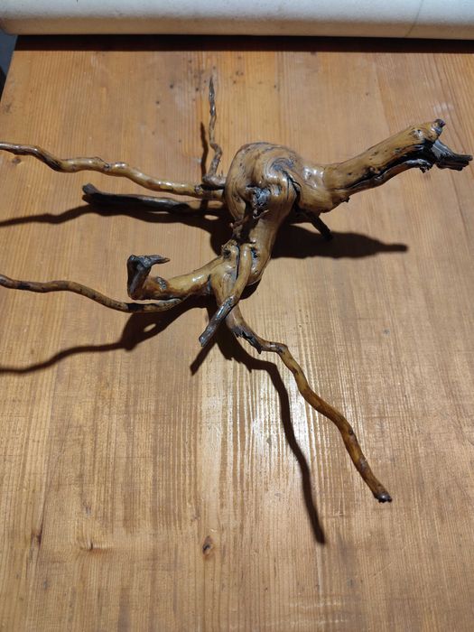 Корен за декорация за дома,градината