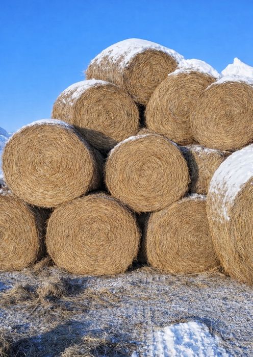 В продаже сено. Доставка.