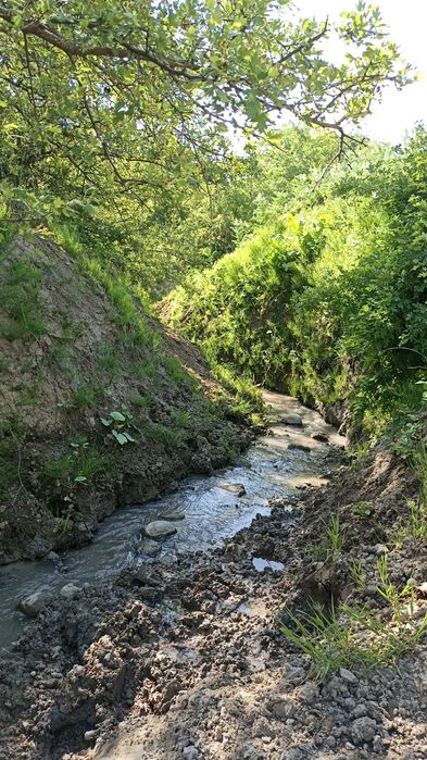 Мёд горный натуральный