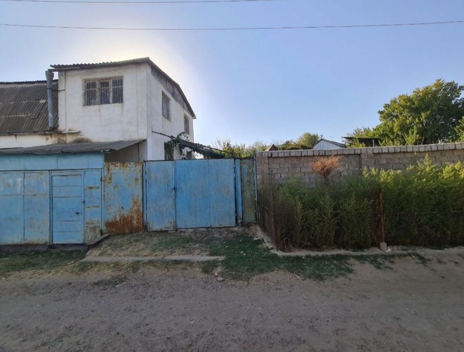 6 сотик Толаби куш конди