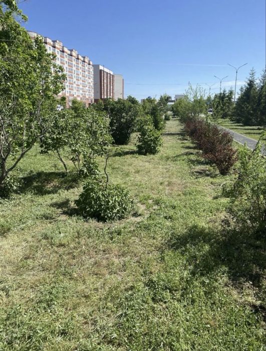Шөп шабу тримермен/ Кошения травы тримером