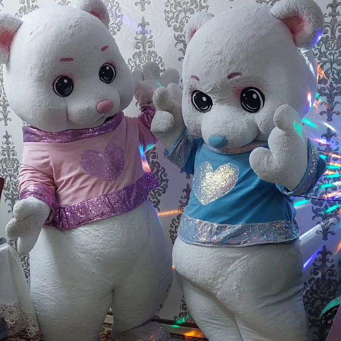 Oformlenya va animator xizmati