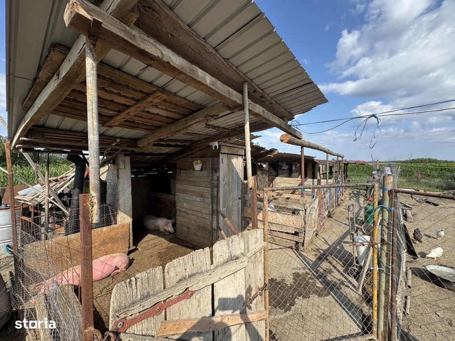 Casa cu 4 dormitoare, 265mp, 30 de arii teren, Boghis, Satu Mare.